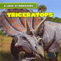 Produktbild: Triceratops