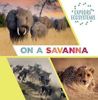 Produktbild: On a Savanna