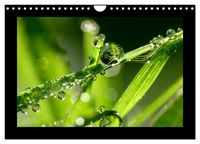Produktbild: Meine kleine gr&uuml;ne Wassertropfen Welt (Wandkalender 2026 DIN A4 quer), CALVENDO Monatskalender