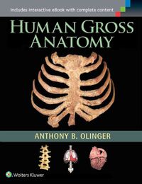 Produktbild: Olinger, A: Human Gross Anatomy
