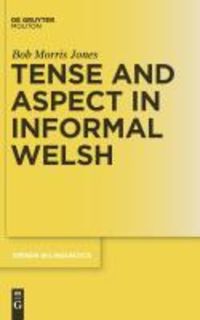 Produktbild: Tense and Aspect in Informal Welsh