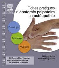 Produktbild: Fiches pratiques d'anatomie palpatoire en ost&eacute;opathie
