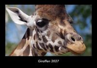 Produktbild: Giraffen 2027 Fotokalender DIN A3