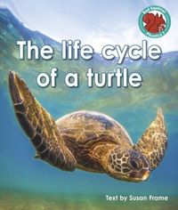 Produktbild: The life cycle of a turtle