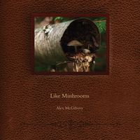 Produktbild: Like Mushrooms