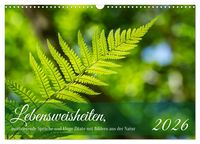 Produktbild: Lebensweisheiten, motivierende Spr&uuml;che und kluge Zitate mit Bildern der Natur (Wandkalender 2026 DIN A3 quer), CALVENDO Monatskalender