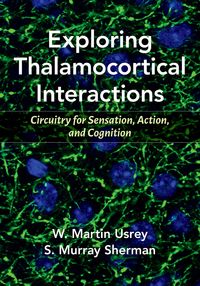 Produktbild: Exploring Thalamocortical Interactions