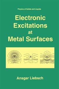 Produktbild: Electronic Excitations at Metal Surfaces