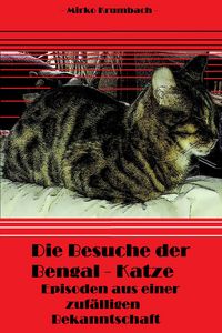 Produktbild: Die Besuche der Bengal-Katze
