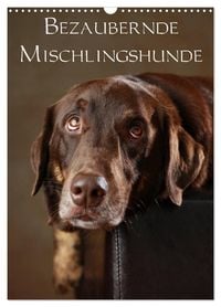 Produktbild: Bezaubernde Mischlingshunde (Wandkalender 2026 DIN A3 hoch), CALVENDO Monatskalender