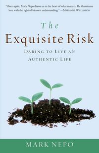 Produktbild: The Exquisite Risk