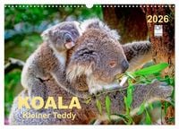 Produktbild: Koala - kleiner Teddy (Wandkalender 2026 DIN A3 quer), CALVENDO Monatskalender