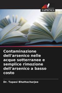 Produktbild: Contaminazione dell'arsenico nelle acque sotterranee e semplice rimozione dell'arsenico a basso costo