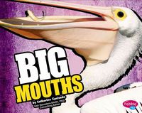 Produktbild: Big Mouths