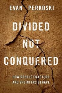 Produktbild: Divided Not Conquered