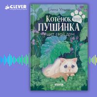 Produktbild: Kotenok Pushinka ischet svoy dom