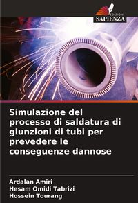 Produktbild: Simulazione del processo di saldatura di giunzioni di tubi per prevedere le conseguenze dannose