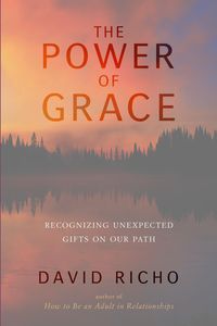 Bild vom Artikel The Power of Grace vom Autor David Richo