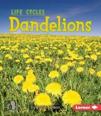Produktbild: Dandelions