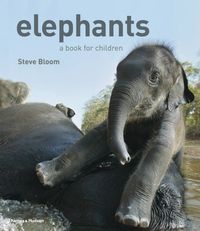 Produktbild: Elephants