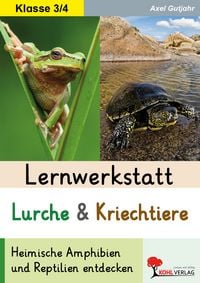 Produktbild: Lernwerkstatt Lurche und Kriechtiere