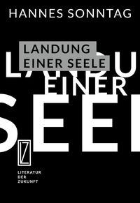 Produktbild: Landung einer Seele