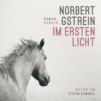 Produktbild: Im ersten Licht
