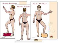 Produktbild: Meridiane 3 Shiatsu Meridian Schaubilder DIN A3