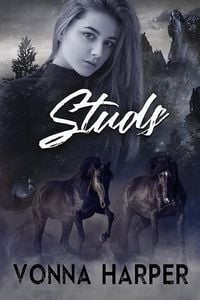 Produktbild: Studs