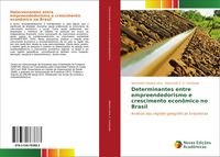 Produktbild: Determinantes entre empreendedorismo e crescimento econ&ocirc;mico no Brasil