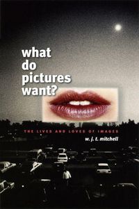 Produktbild: What Do Pictures Want?
