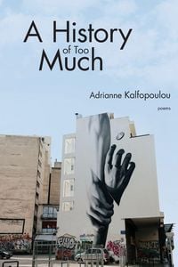 Produktbild: A History of Too Much