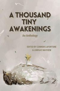 Produktbild: A Thousand Tiny Awakenings