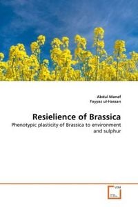 Produktbild: Manaf, A: Resielience of Brassica