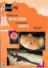 Produktbild: S&uuml;sswasser Rochen /Freshwater Rays