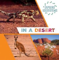 Produktbild: In a Desert