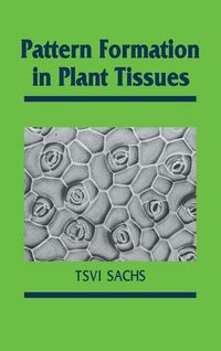 Produktbild: Pattern Formation in Plant Tis