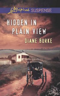 Produktbild: Hidden in Plain View