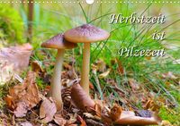 Produktbild: Herbstzeit ist Pilzezeit (Wandkalender 2022 DIN A3 quer)