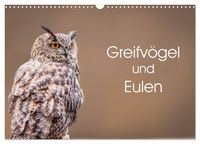 Produktbild: Greifv&ouml;gel und Eulen (Wandkalender 2026 DIN A3 quer), CALVENDO Monatskalender