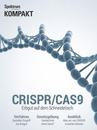 Produktbild: Spektrum Kompakt - CRISPR/CAS9