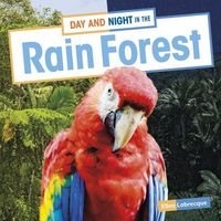 Produktbild: Day and Night in the Rain Forest