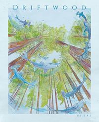 Produktbild: Driftwood Press 8.2