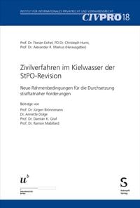 Produktbild: Zivilverfahren im Kielwasser der StPO-Revision