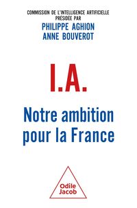Produktbild: IA : notre ambition pour la France