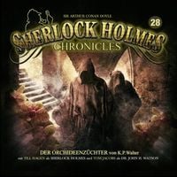 Produktbild: Sherlock Holmes Chronicles 28