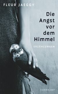 Produktbild: Die Angst vor dem Himmel