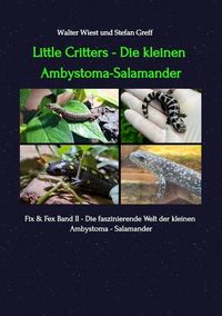 Produktbild: Little Critters - Die Kleinen Ambystoma
