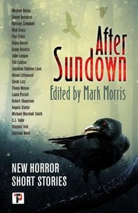 Produktbild: After Sundown