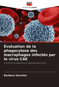 Produktbild: &Eacute;valuation de la phagocytose des macrophages infect&eacute;s par le virus CAE